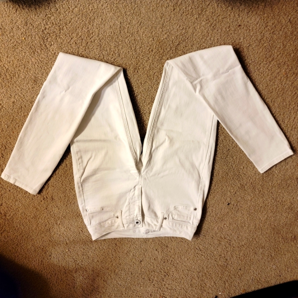 Maurices pants